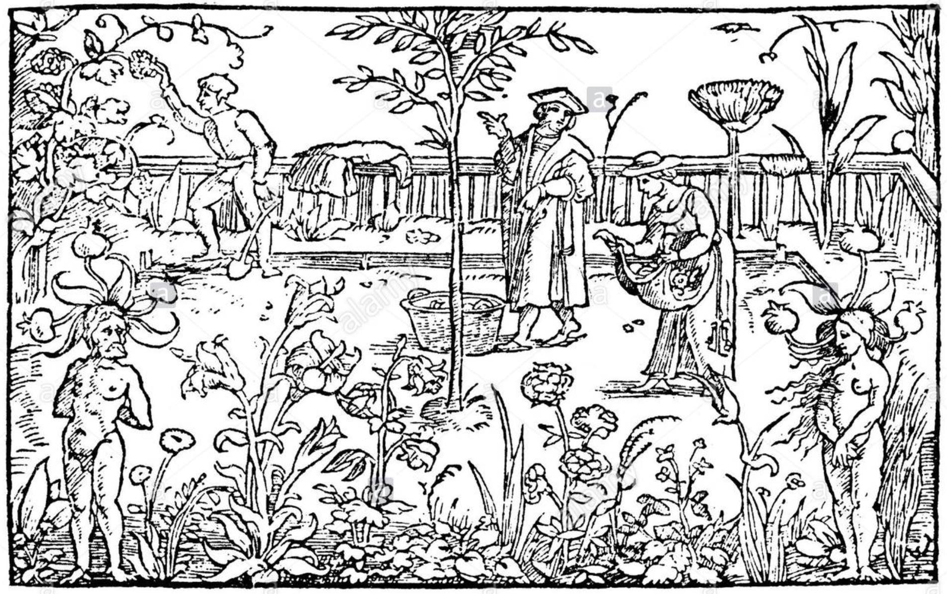 Glorious Garden Picnic